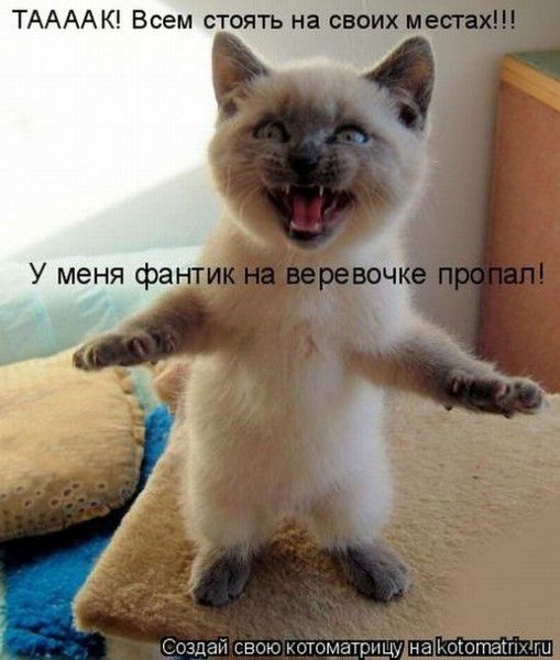 Владислав Николаев