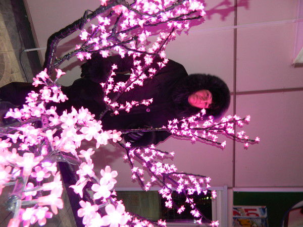 Наталья Соколовская