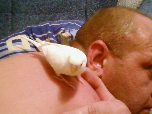 Игорь Кайгородов