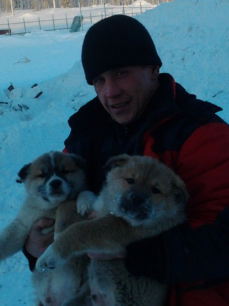 Николай Никитин