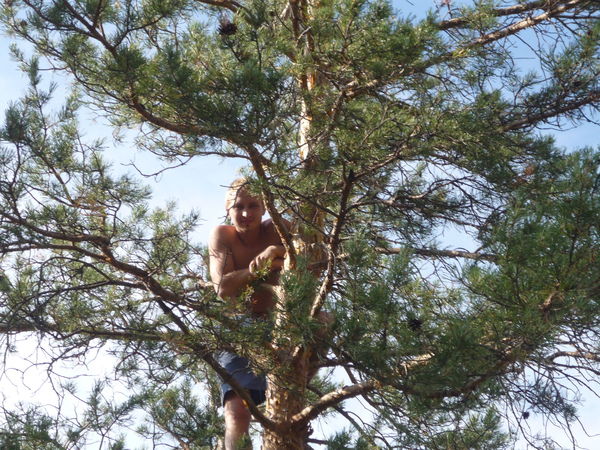 Евгений Харченко