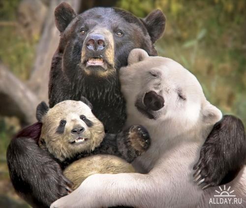 Дмитрий Буш