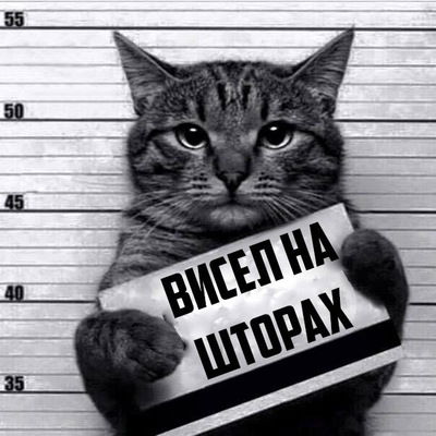 Иван Мягков