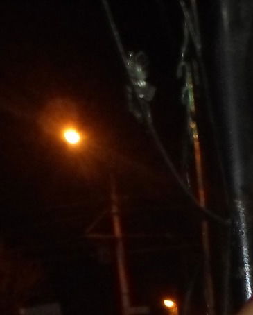 Алеся Близнец