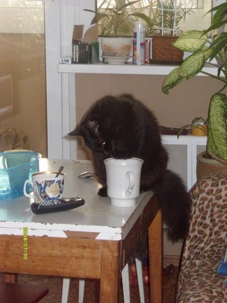 Светлана Вяхирева