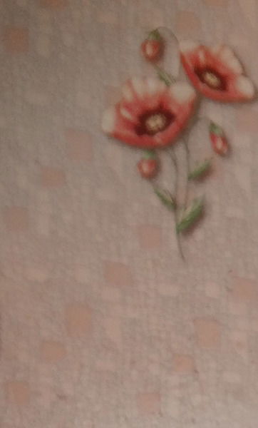 Галина Биржанова