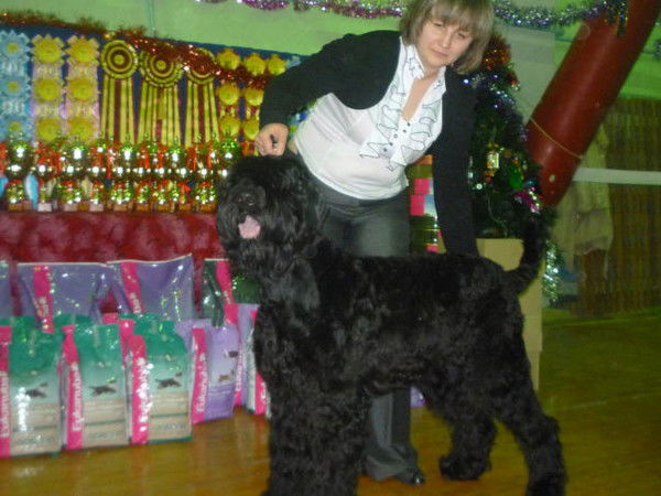 Анастасия Головкова