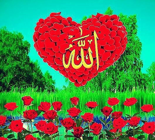 М А Ф Т У Н А