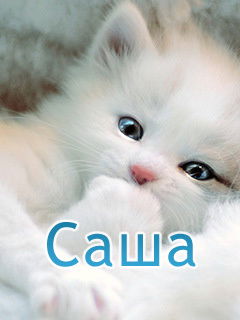 Саша Литвинович