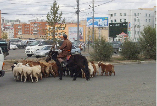 Константин Зотов