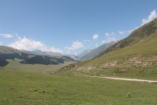 Андрей Таращук