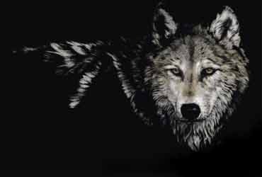 Иван Тюрюханов