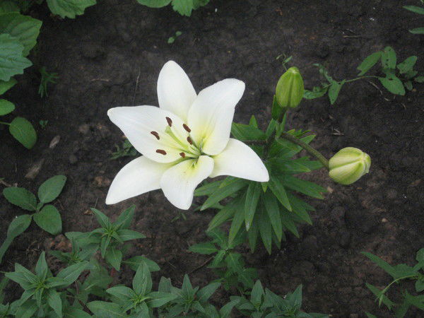 Надежда Нургатина