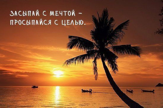 Елена Юнацкая