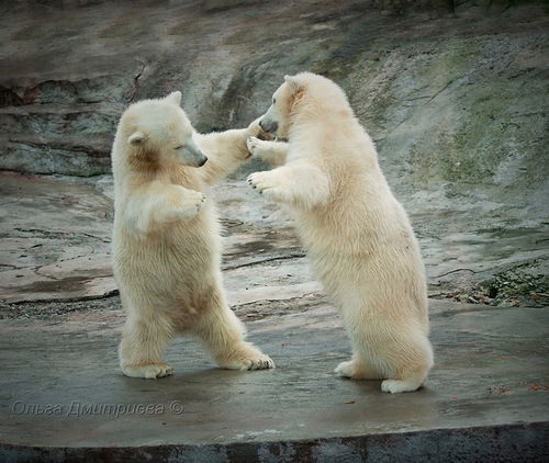 Александр ***