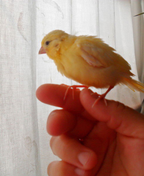 Мадлен Умбетьярова