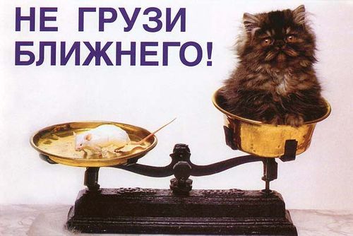 Виталик Dgeronimo