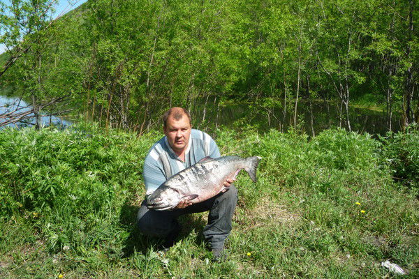 Анатолий Васильев