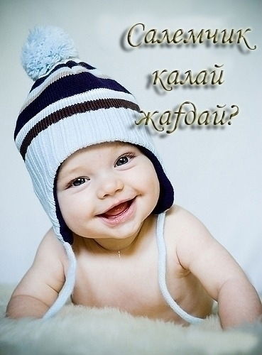 Сауле Сейсенбаева