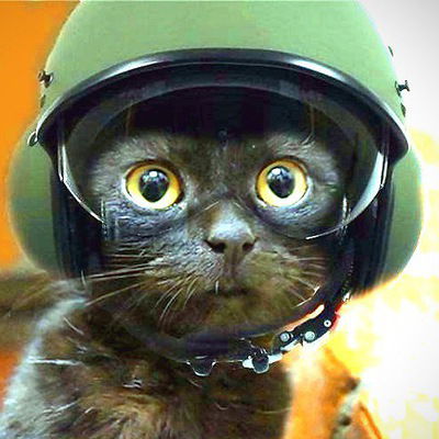 Настя Настя