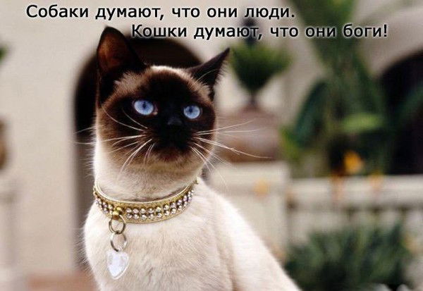 Екатерина Катанаева