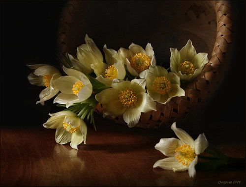 Stanislav Ovchinnikov