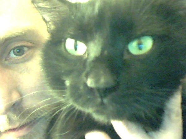 Carl Fredrik Ljungberg