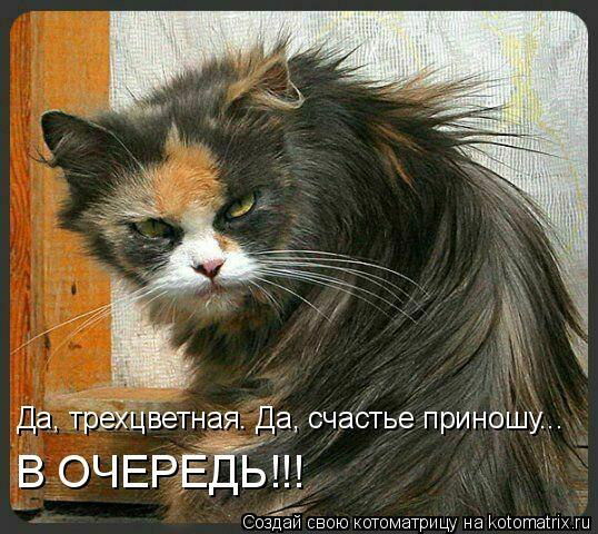 Алла Корвет