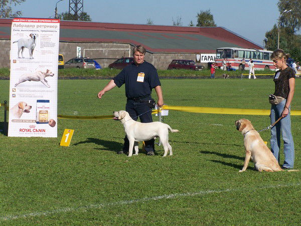 Денис Феофанов