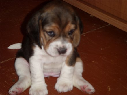 Неизвестно Неизвестно