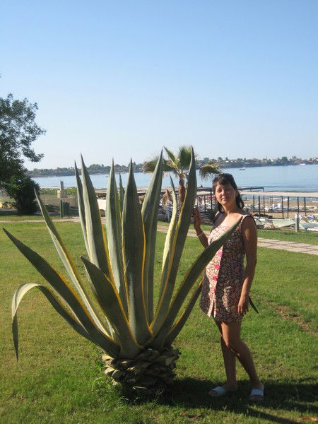 Татьяна Алыпова