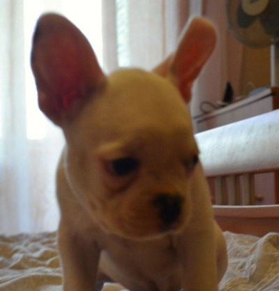 Анастасия Васильева