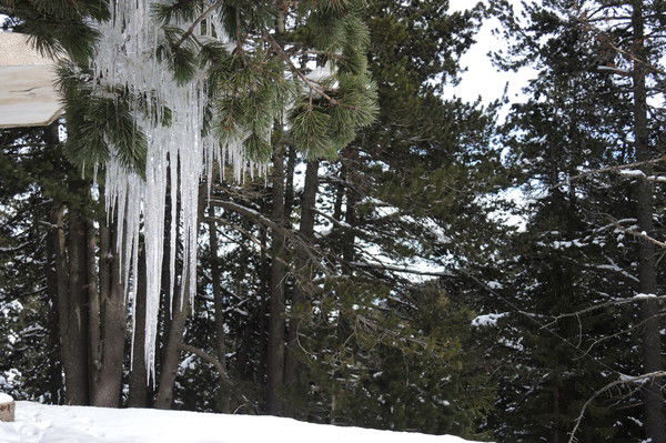 Сергей Чиликин