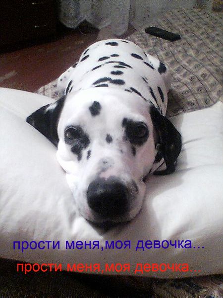 Ольга ))))))))))