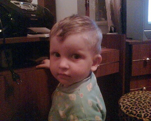 Андрій Степований