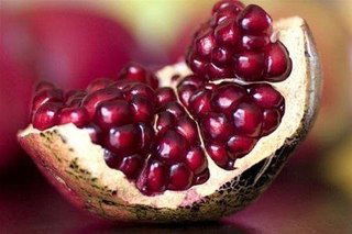 Елена Толстикова