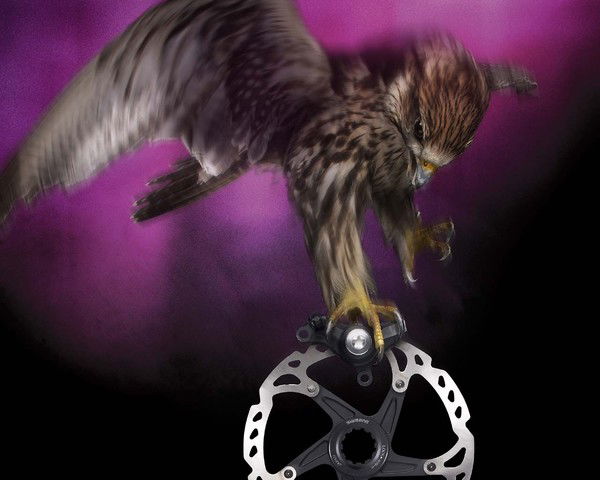 Александр Фёдоров