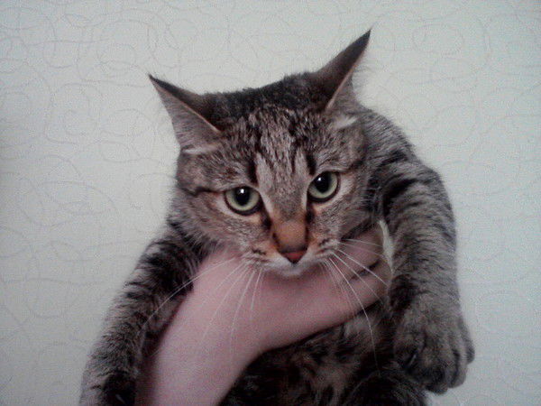 Екатерина Мусихина