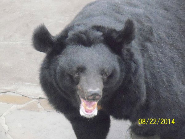 Сергей Новиков