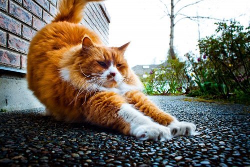 Игорь Иванов