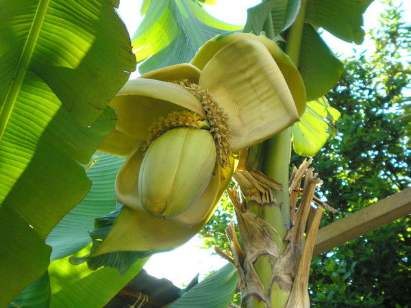 Ольга Назарова