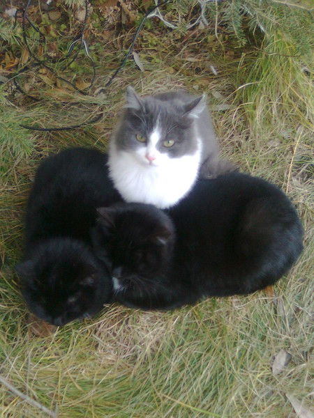 Флонира Васильева