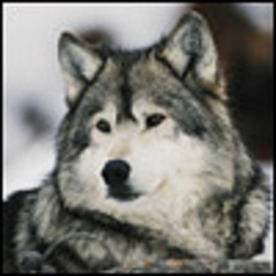 Вячеслав Потапов