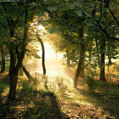 Алексей Иванов