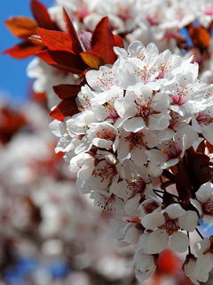 Гульнара Дунгулова