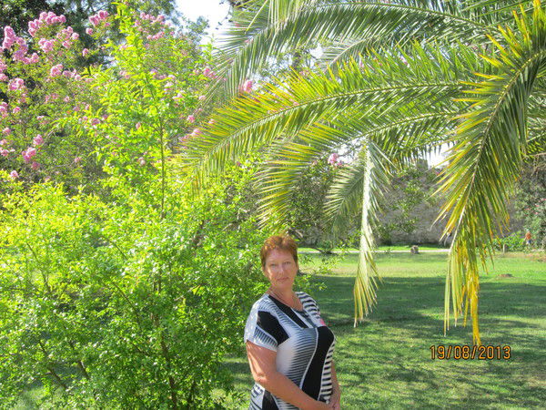 Елена Мелещенко