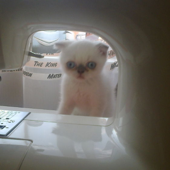 Оксана Комарова