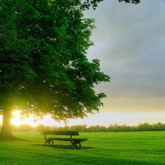 Наталья Брия