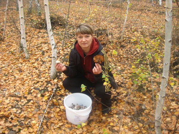 Ира Коловерда