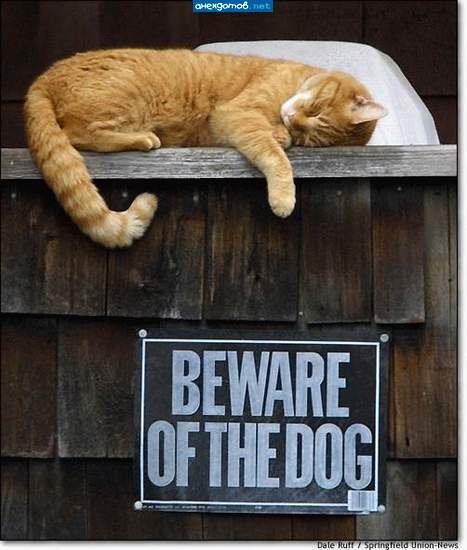 Надежда Бочагова